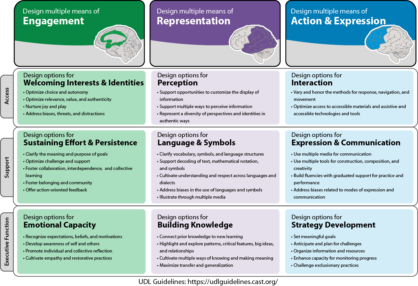 Universal Design for Learning